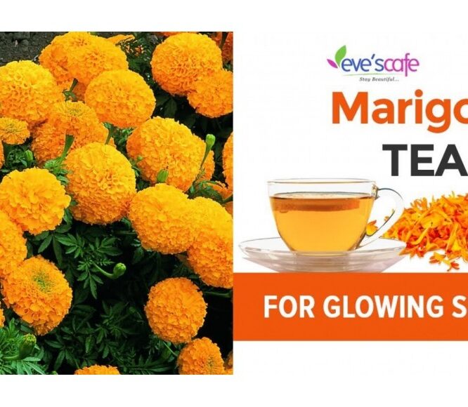 DIY – Marigold Tea & Its Benefits | Get Younger Looking Skin naturally