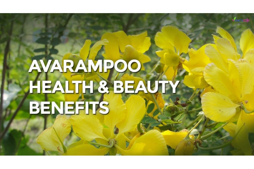 Evescafe | Avarampoo ( Avaram Senna) Benefits For Skin & Health | Natural Remedies for Diabetes