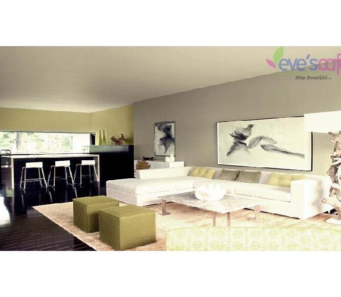 Living Room Design Ideas