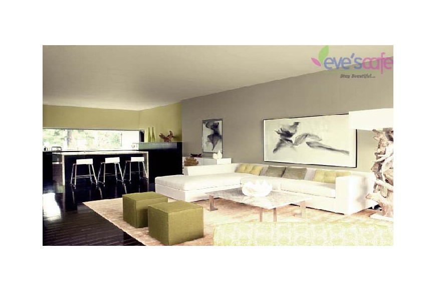 Living Room Design Ideas