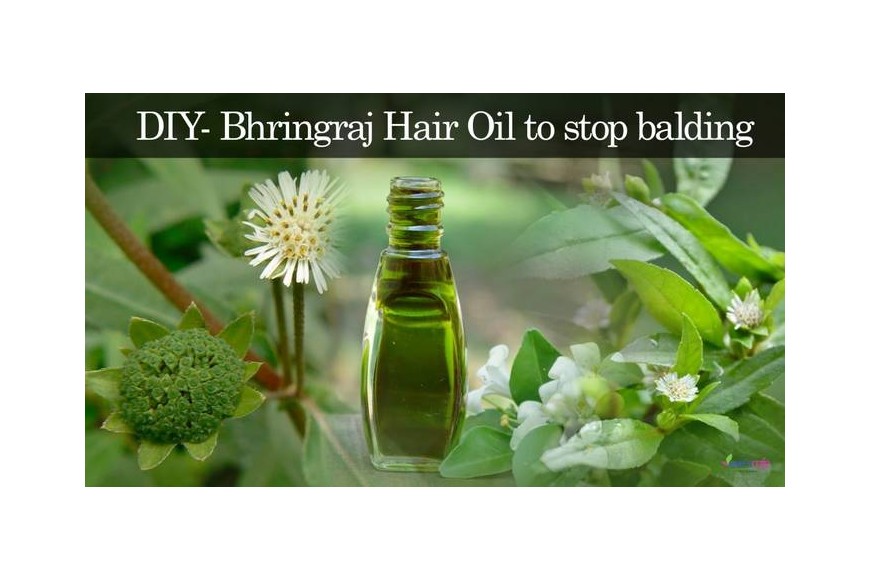 Evescafe | Hair Regrowth Oil | Anti-baldness Oil | Bhringaraj Hair Oil Preparation at Home - DIY