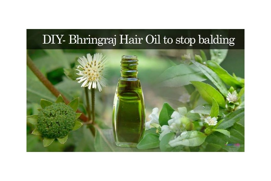 Hair Regrowth Oil | Anti-baldness Oil | Bhringaraj Hair Oil Preparation at Home – DIY