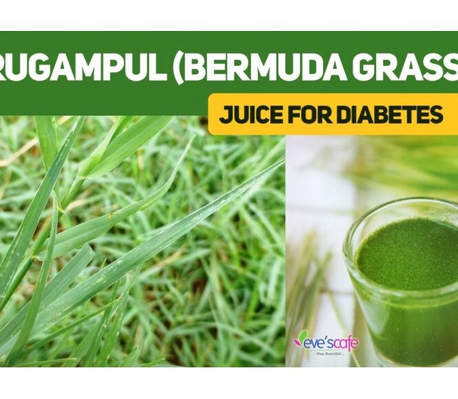 Arugampul Juice Recipe & Health Benefits of Bermuda Grass