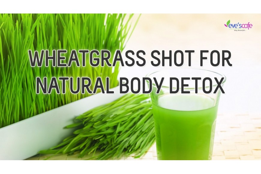 Evescafe | DIY - Wheatgrass Shot & Wheatgrass Health Benefits