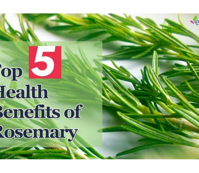 Evescafe | Natural Beauty Remedies of Rosemary