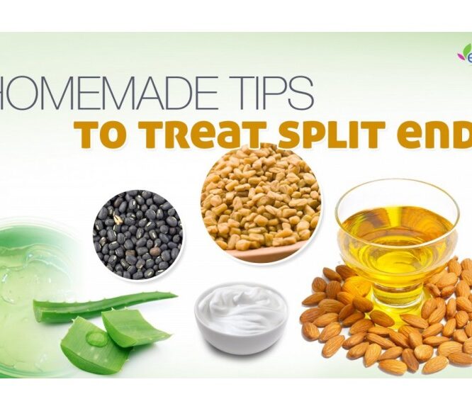Home Remedies for Split Ends | Split Ends Treatment