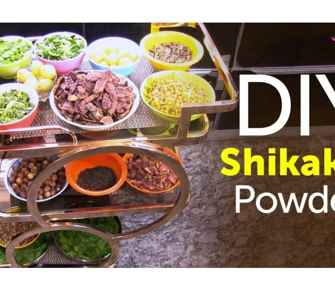 Shikakai Powder Preparation at Home (Herbal Shampoo) – DIY