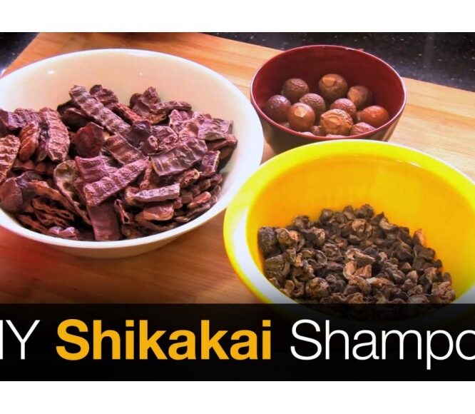 Shikakai Shampoo | Hair Growth Shampoo – DIY