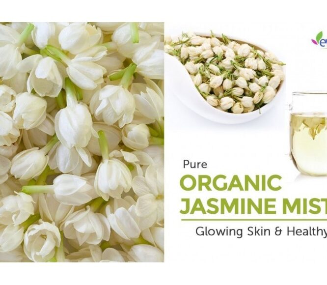 GET BEAUTIFUL SKIN & HAIR – DIY JASMINE MIST