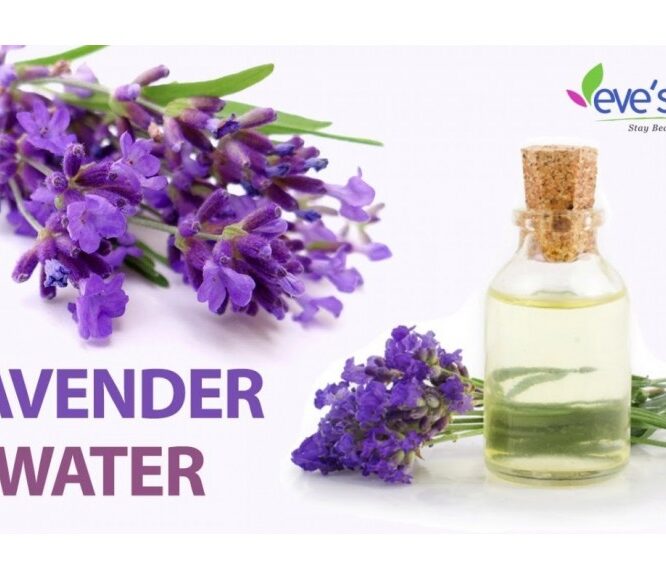 DIY – LAVENDER WATER | HYDRATING FACE MIST 100 % NATURAL