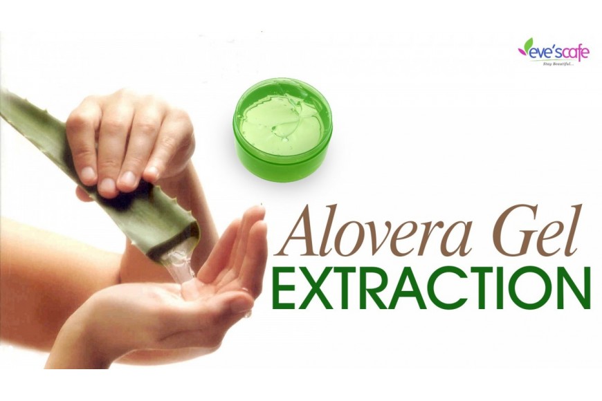 Evescafe | Extracting AloeVera Gel from the Plant