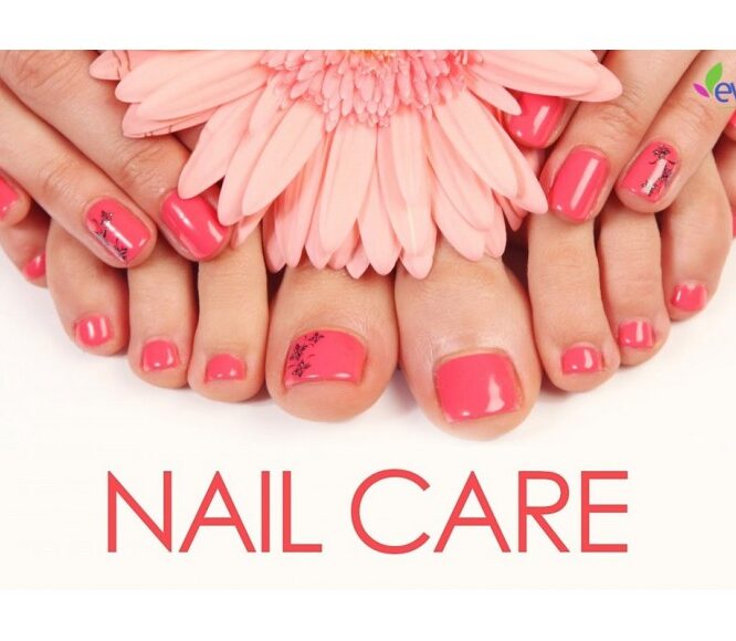 Cuticle Care | Nail Care | Tea Tree Oil & Vitamin E Oil for Nail Care