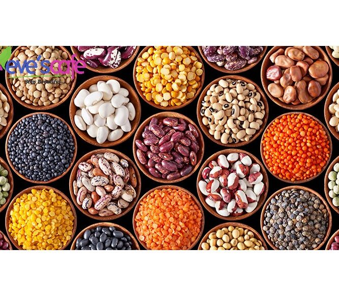 Choosing the Right Protein