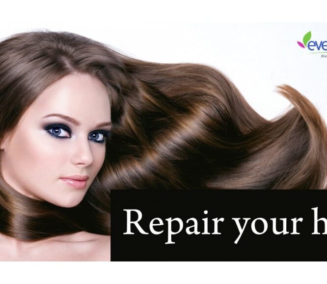 Natural Remedies for Chemically Treated Hair, Damaged Hair – Natural Hair Care