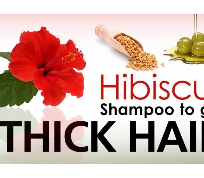 Home Made Hibiscus Shampoo for Dark, Long and Shiny Hair