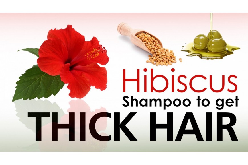 Home Made Hibiscus Shampoo for Dark, Long and Shiny Hair