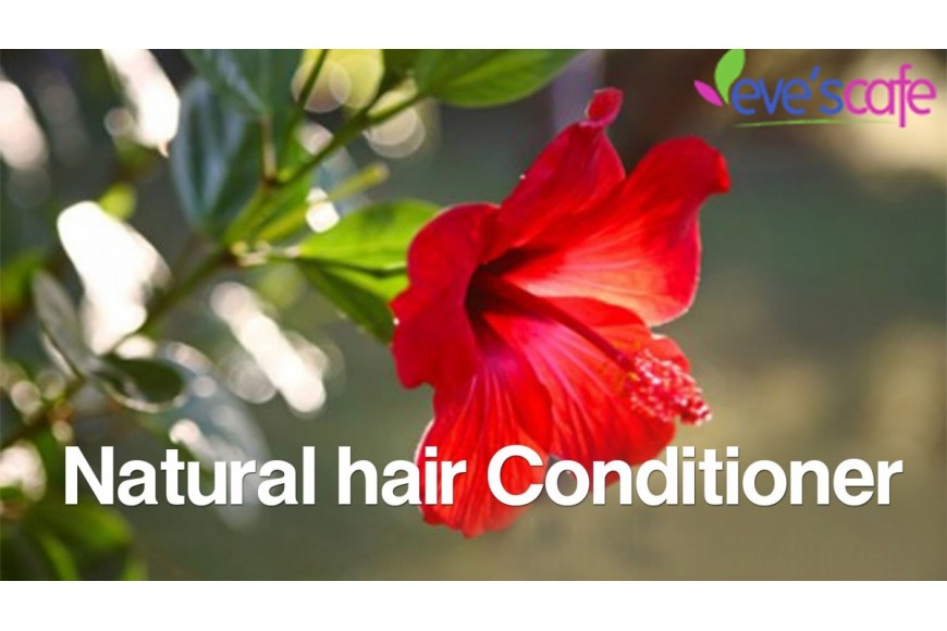 Evescafe | DIY : Hibiscus Hair Conditioner - Dry Hair Treatment