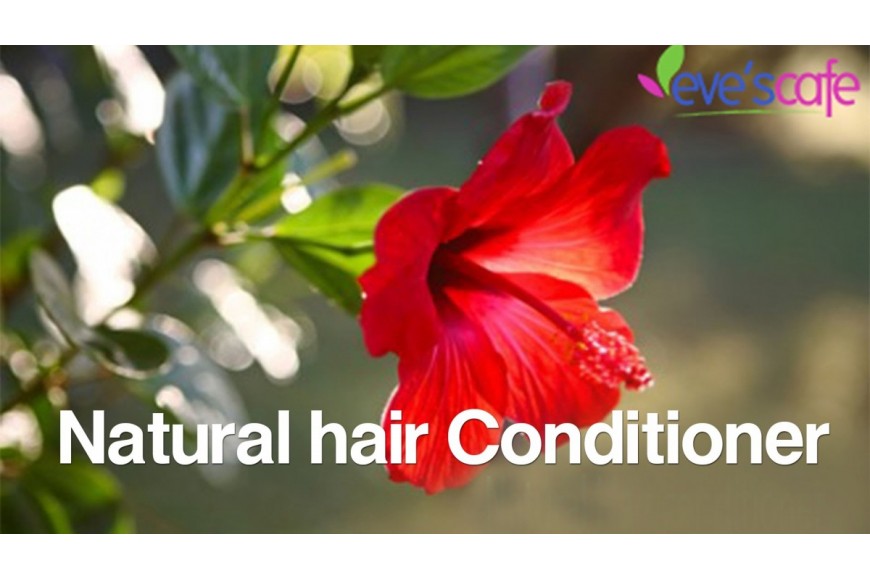 DIY : Hibiscus Hair Conditioner – Dry Hair Treatment