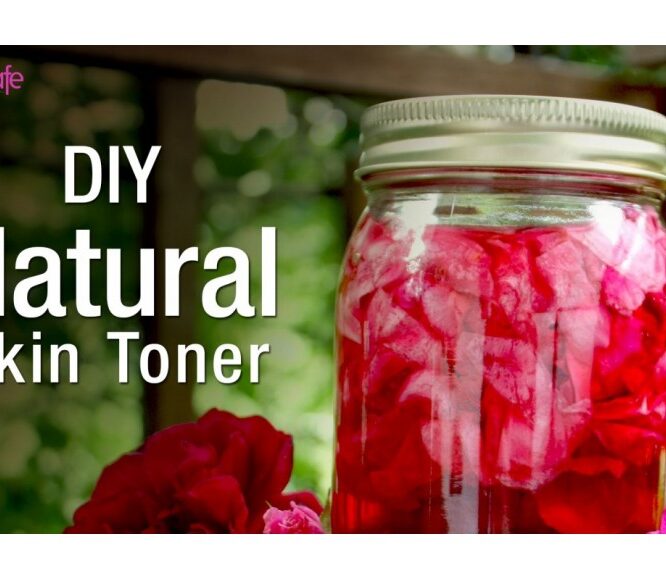 DIY : How to do Toner at Home – Natural Homemade Skin Toner