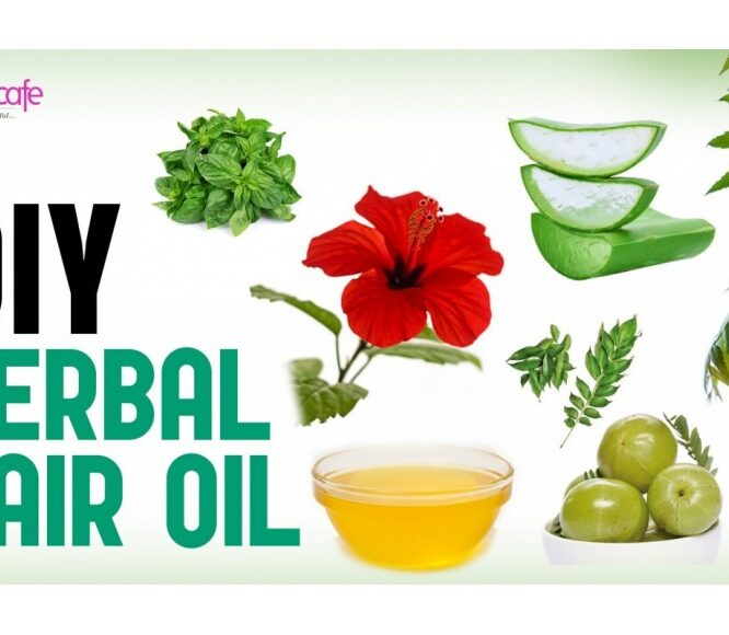 Herbal Hair Oil Preparation for Hair Growth and Stops Hair Loss