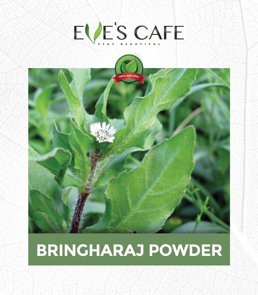 Buy Bhringraj Powder for Hair Online | Bhringraj Powder online